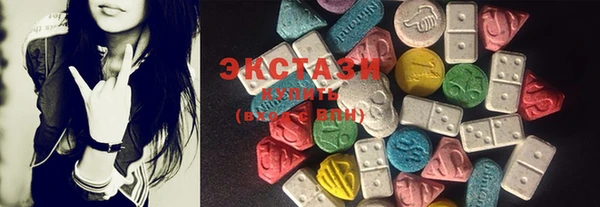 ECSTASY Богородицк