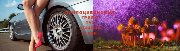 амф Осинники