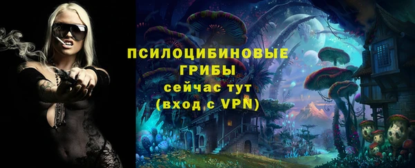 метадон Беломорск