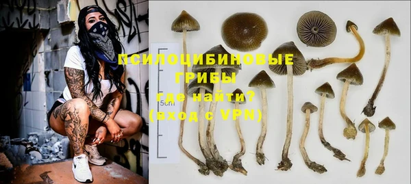 метадон Беломорск