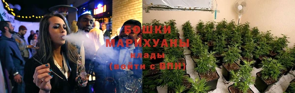 эйфоретик Белокуриха