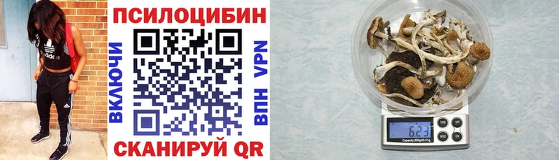 гидра ТОР  даркнет Telegram  Галлюциногенные грибы прущие грибы  Павловск 